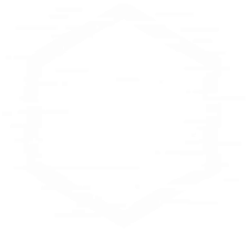 vector