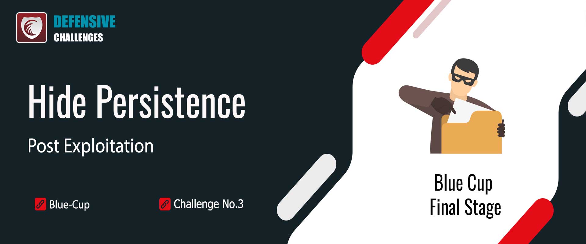 پایداری مخفی