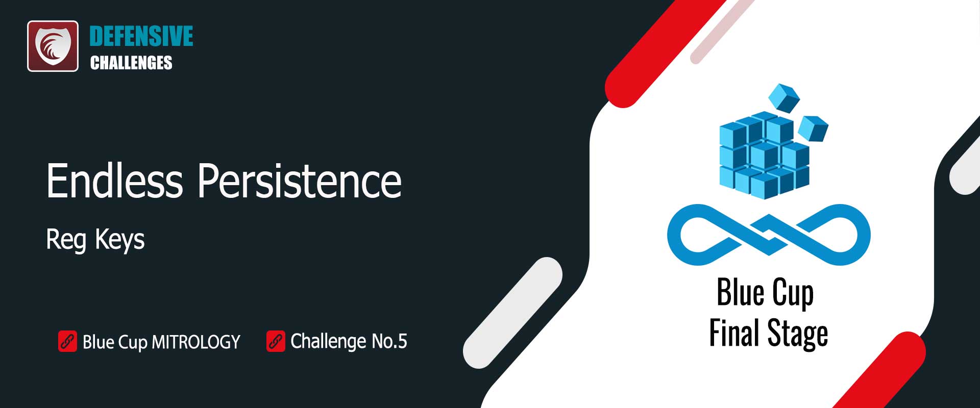 پایداری بی پایان