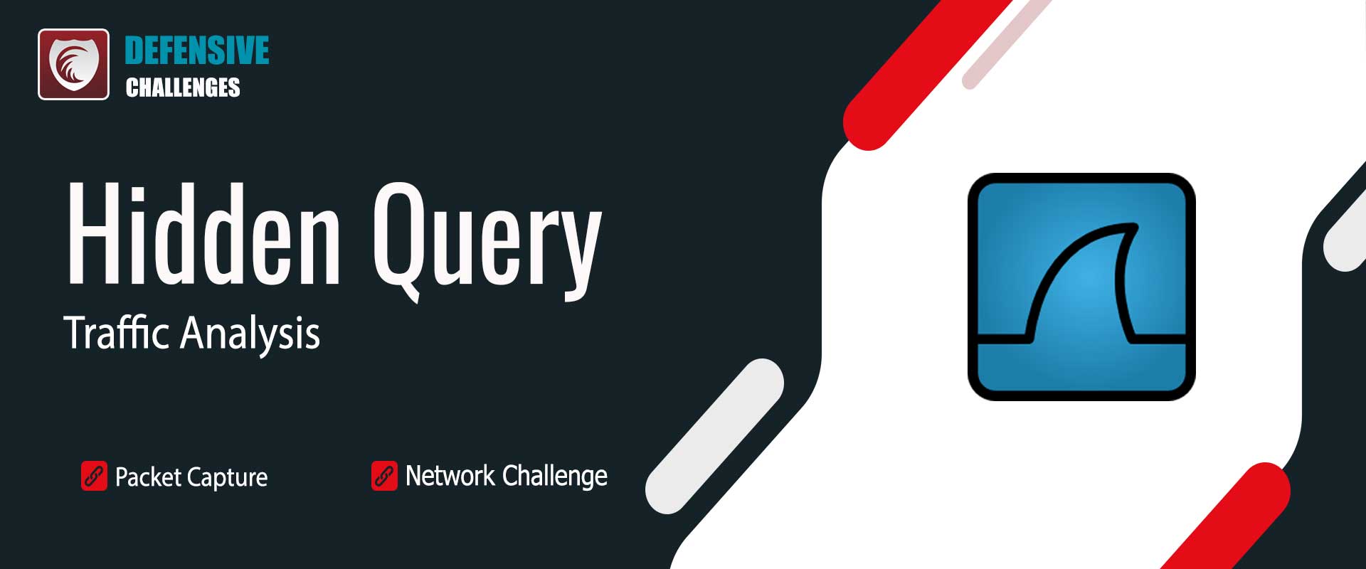 چالش Hidden Query